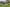Set fra haven - Lærkevej 6